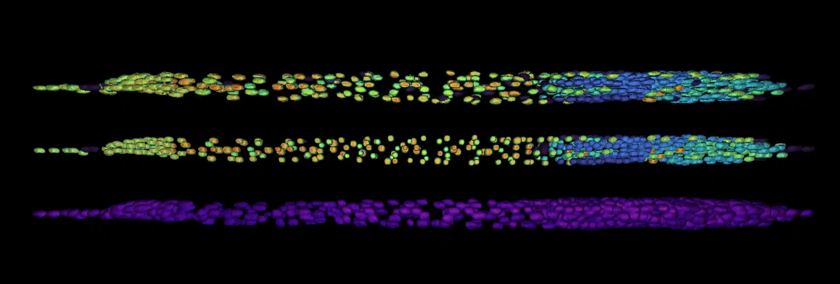Interactive VR C.Elegans Viewer